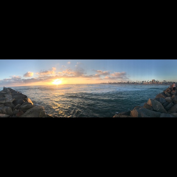 Meet your Posher, Sophia - Picture 2 of 2